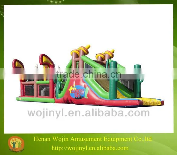Cartoon Inflatable Jumping Castle/Inflatable Jumping House/Inflatable Bounce House