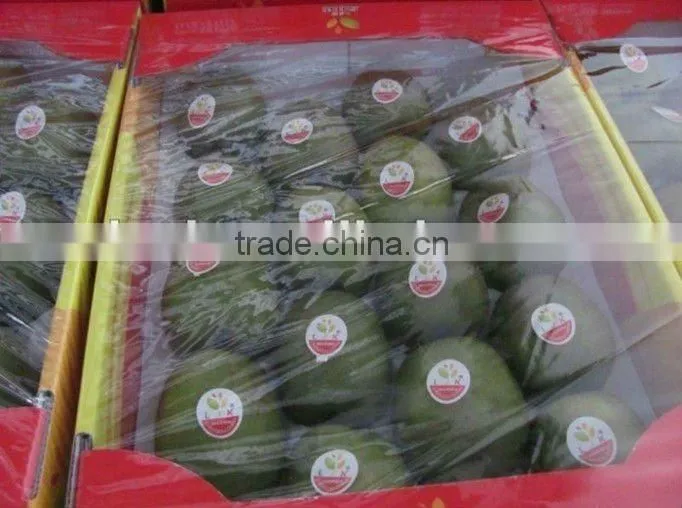 New Fresh Kiwi fruits on sale