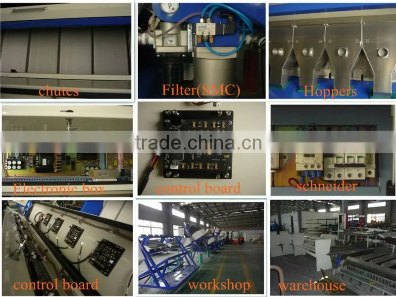 garlic color sorter, belt color sorter