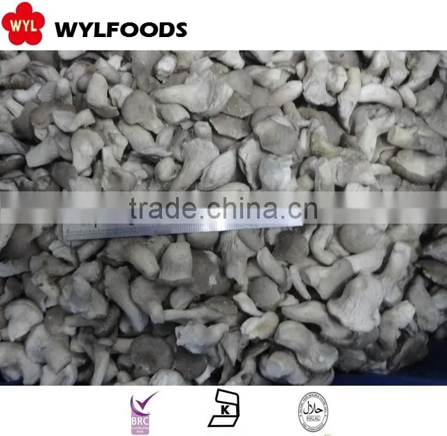 2015 new price frozen oyster mushrooms