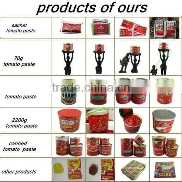 70g Tomato Paste of VEGO Brand Packing in Sachet