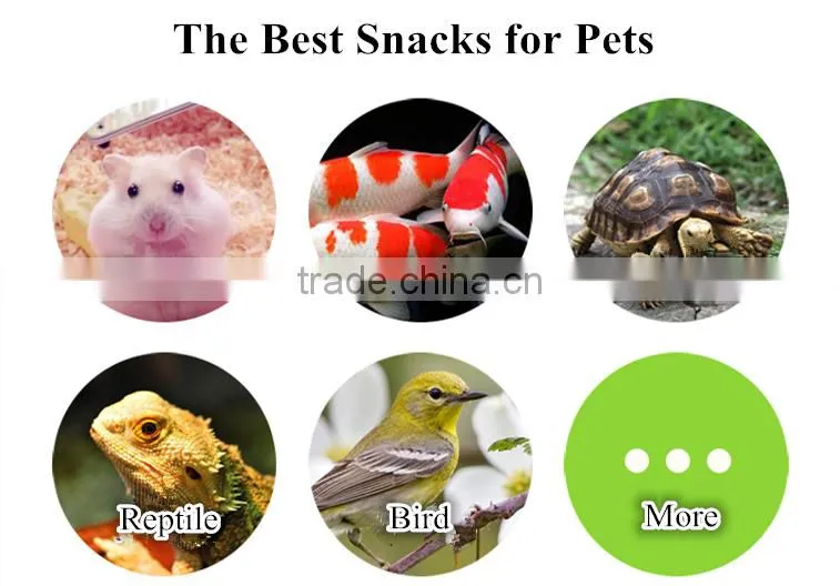 Freeze Dried Mealworms for Pet Food