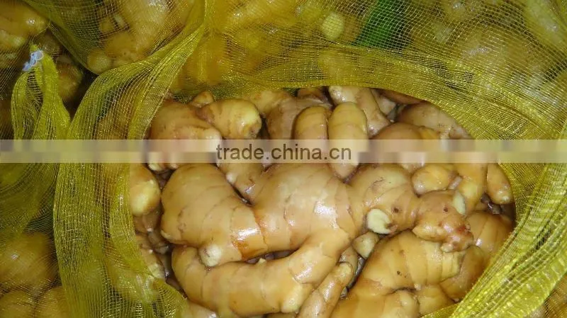 Organic fresh ginger