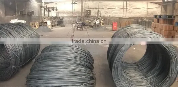 Quality Galvanized umbrella Head Roofing Nails