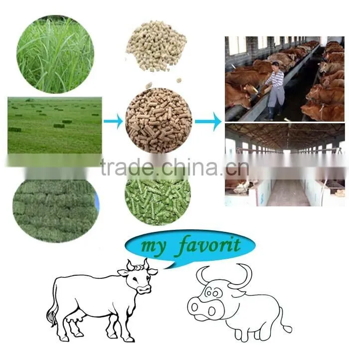 1-2t/h Artificial Chicken Feed Pellet Production Line For Sale