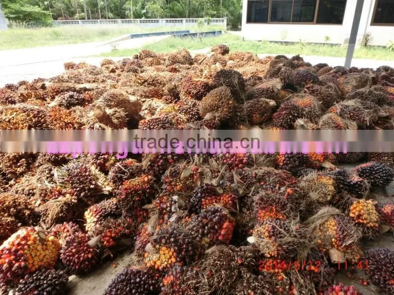 Long using life hot sell refining palm oil machine
