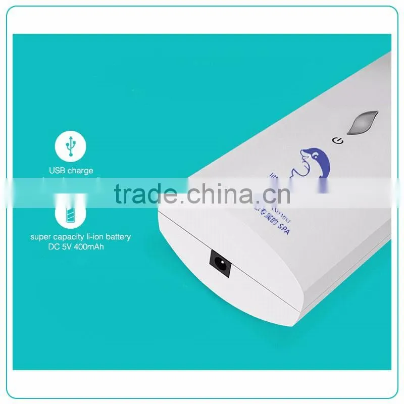 Portable Electric Hydro Spa Nano Mist Spray Facial Steamer