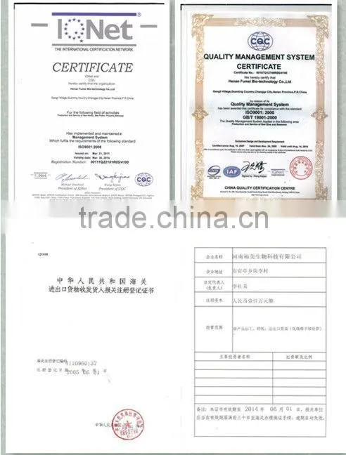 antibotic free high quality lyophiled royal jelly powder