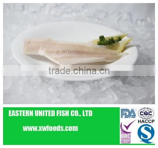 pacific hake fish