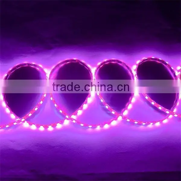Waterproof SMD LED Strip Light led light stripe