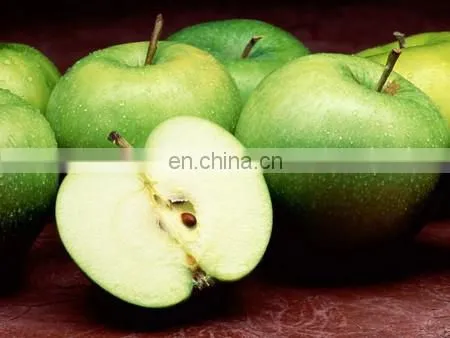 blueberry vinegar liquid fermentation process line