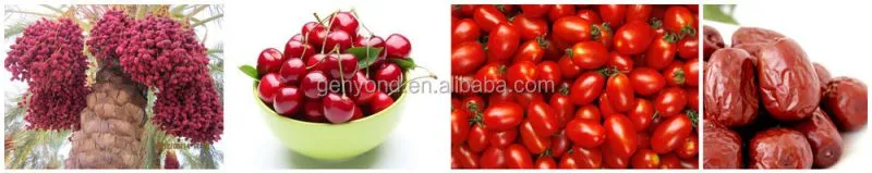 Jujube Sorting Machine Date Grading Machine