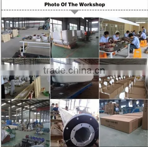 300w 600w 1kw 2kw 3kw 5kw 10kw 20kw 30kw 50kw low rpm permanent magnet motor alternator wind turbine generator