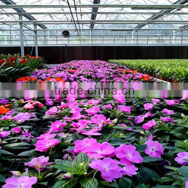 Hollow Polycarbonate Sheet Greenhouse
