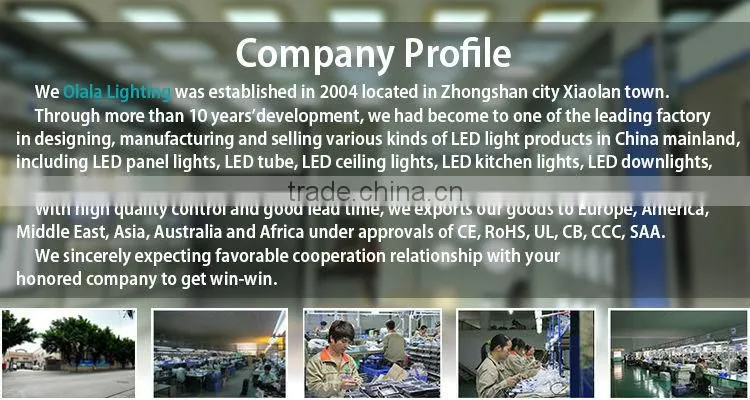 Promotion ROHS CE COB triac dimmable led driver