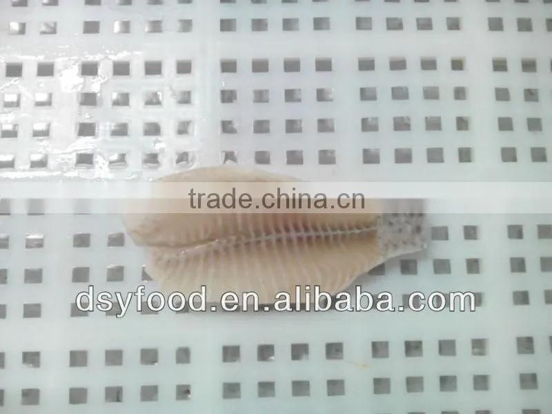 Frozen Fresh Red Tilapia Fish WR