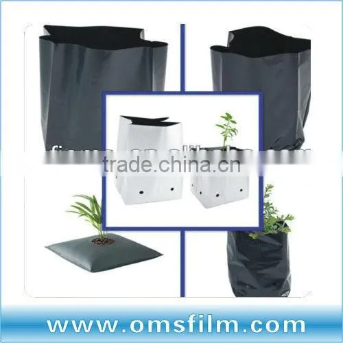 Small black non woven growing bags
