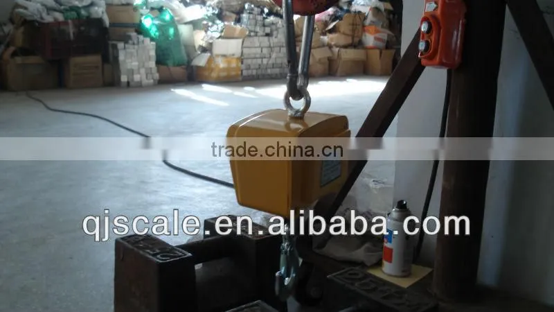 Load Capacity 100kg to 10T ocs crane scale