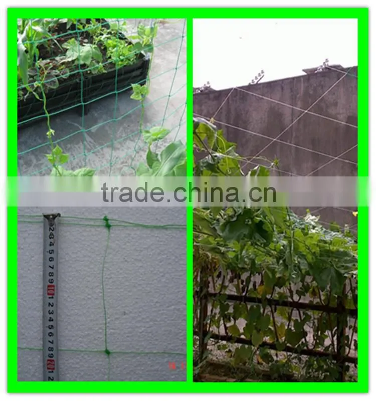 uv coated garden plastic mesh tomato climbing net