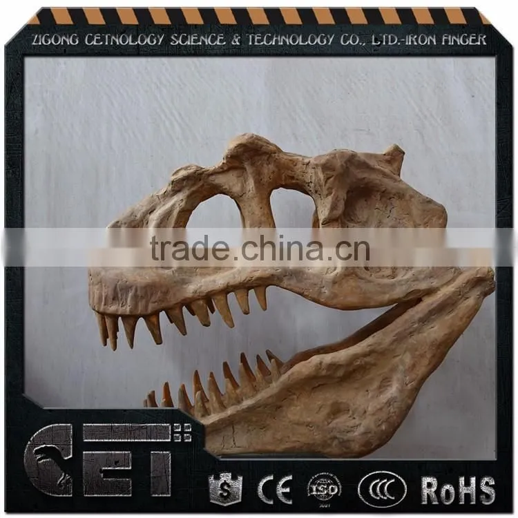 Hot sale realistic fiberglass dinosaur skeleton model