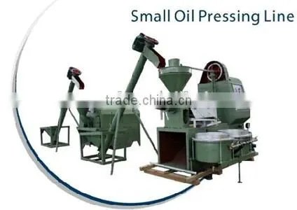 High oil output walnut oil press machine from China with finest service