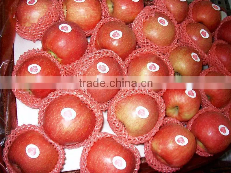 Fresh apple from china/ Red apple/China red apple