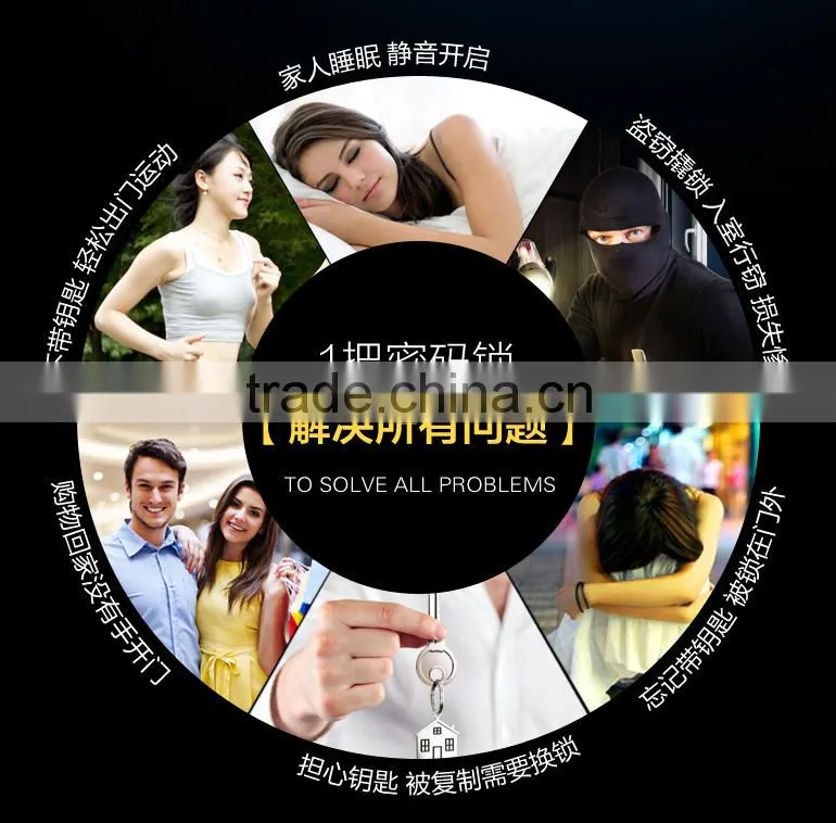 Ibutton Digital Door Lock Manufacturer
