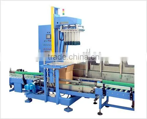 Fully Automatic Carton Packaging Machine for bags
