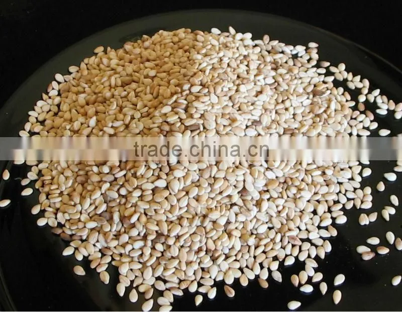 SESAME SEEDS WHITE