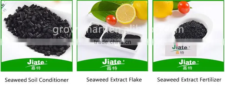 seaweed extract organic powder /flake fertilizer