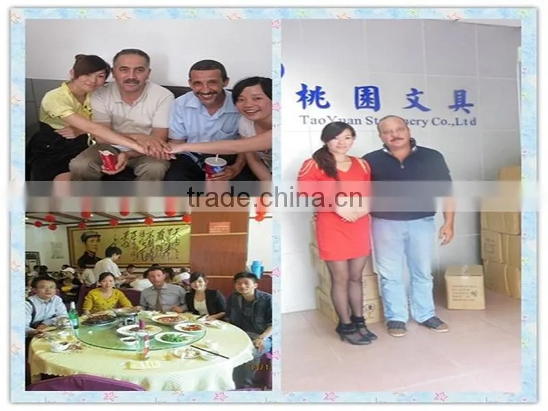2014 top sale flat metal spring clips / spring fastener / spring file clips