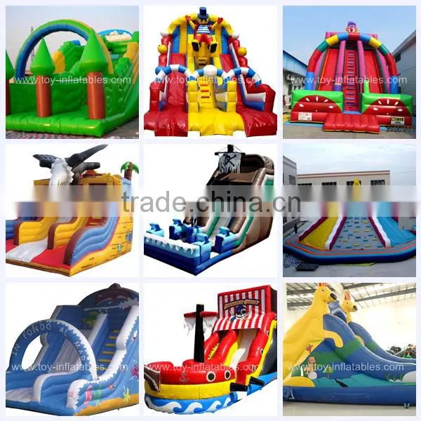 Classic design cheap inflatable noah's ark slide
