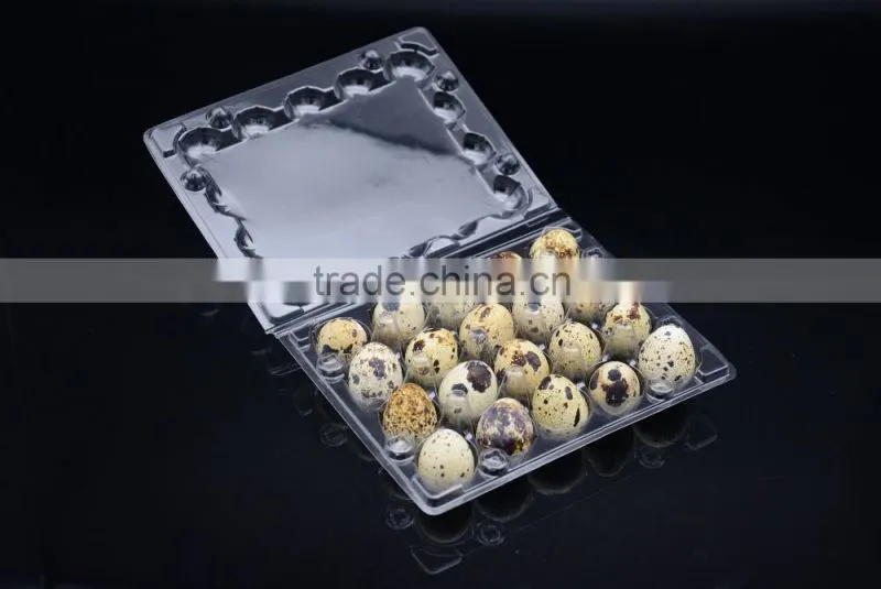 Good quality disposable PVC PET plastic quail eggs tray 20 holes