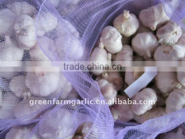 white garlic in mesh bags