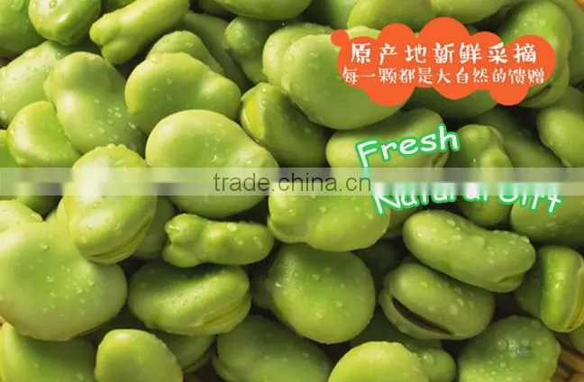 2016 superior quality delicious fried broad beans for sale for import snack