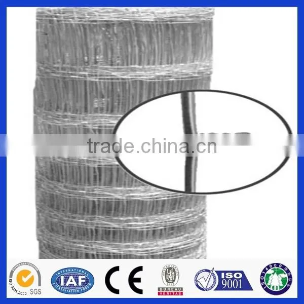 High quality hot dip galvanized veld span fence/deer fence net (Deming factory, ISO900 certificate)