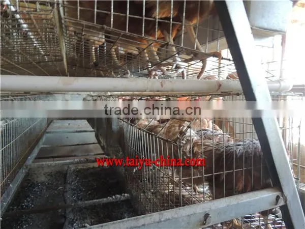 Poultry farming cages in kenya