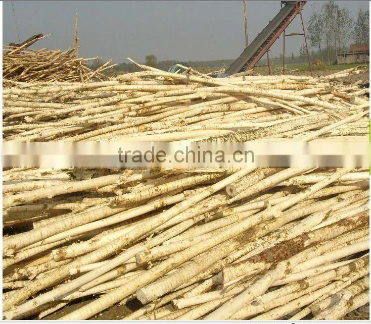 Wood processing bark removing machine