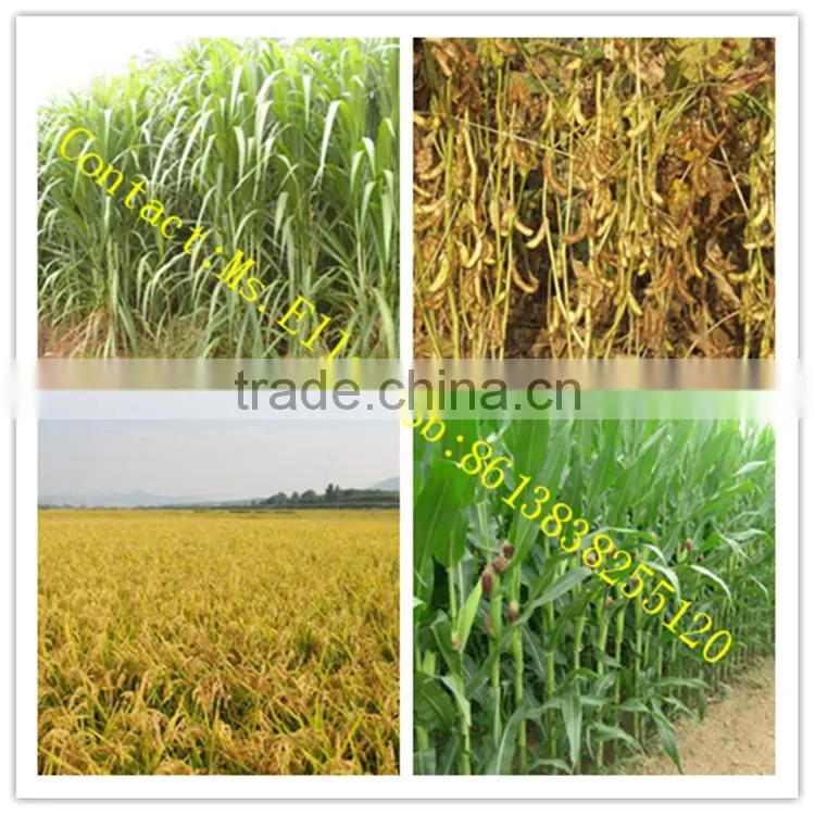 hand push wheat reaper binder machine wheat reaper binder