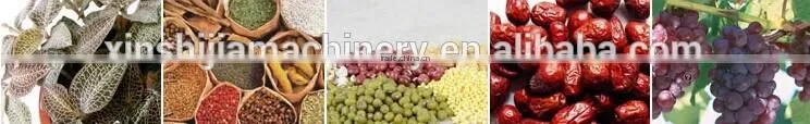 Factory hot sale digital control Small fruit drying machine