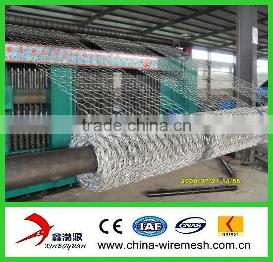 good !chicken wire mesh/hexagonal wire netting