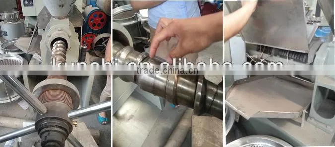 Best quality edible oil expeller popular all over the world