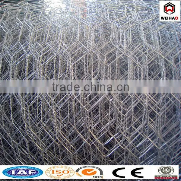 PVC and GI Hexagonal Wire Mesh