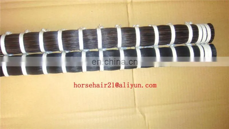 horse tail equestrian