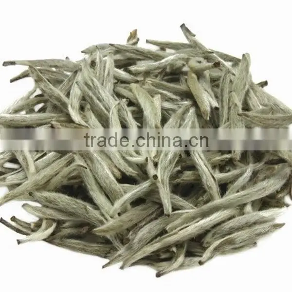 China Fuding white tea, health and natural bai hao yin zhen/ white silver needle white tea