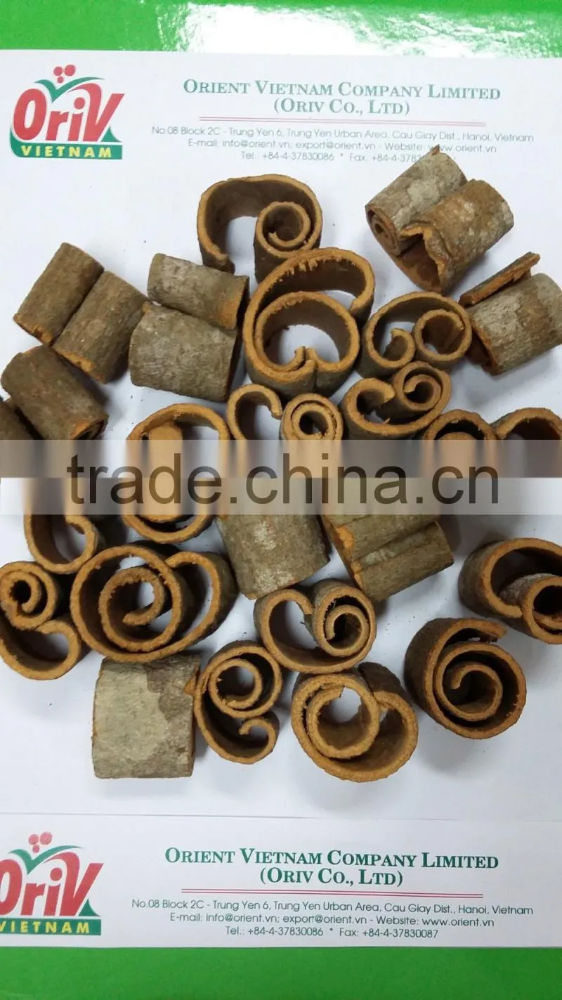 SCROLL CUT CASSIA with BEST PRICE & HIGH QUALITY