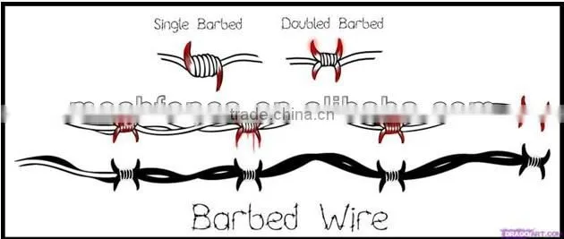 Stainless steel security electro galvanized barbed wire