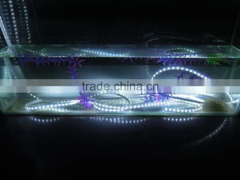 60leds cool white 5630 smd led