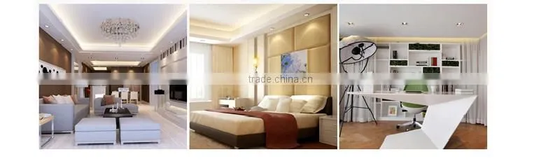 professional design indoor ceiling led down light 18W