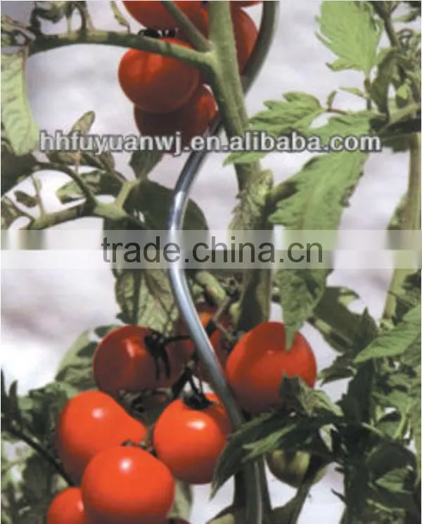 good quality metal tomato spiral rod support made in china